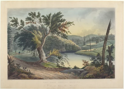 View near Jessup's Landing by John Hill; William Guy Wall; Henry J. Megarey, print, 1821