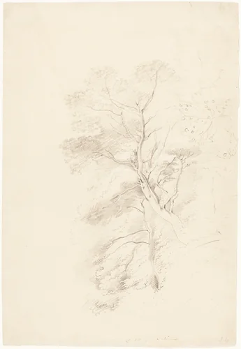 A Beech Wood by John Linnell, drawing, 1815