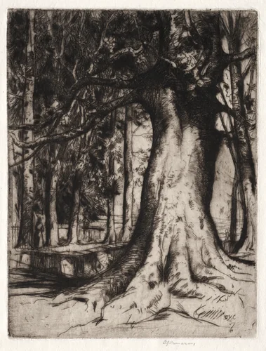 The Sycamore by David Young Cameron, print, 1905