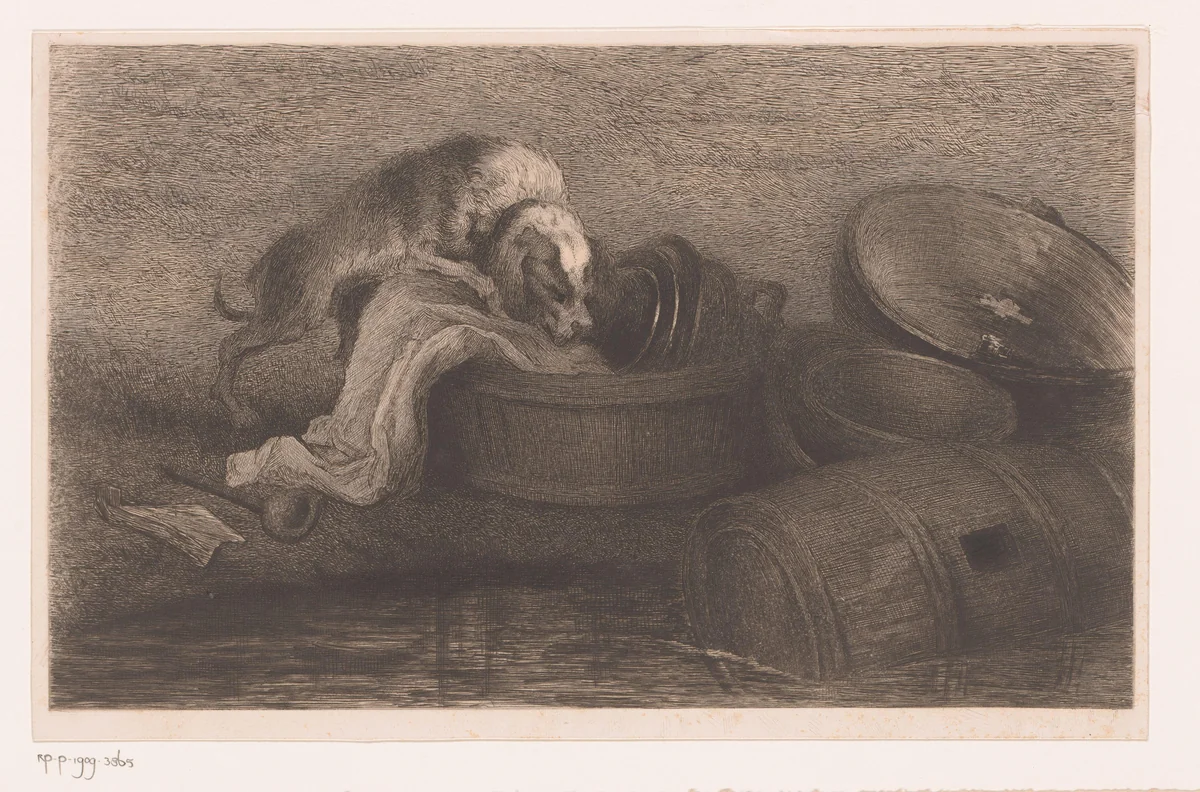 Hond in een afwasteil aan de rand van het water by Auguste Danse, print, 1889