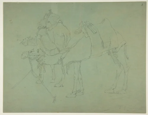 Two Camels by anonymous, drawing, 1800-1899