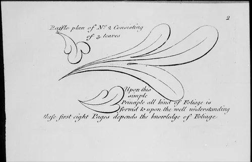 The Principles of Ornament, or the Youth's Guide to the Drawing of Foliage by Matthias Lock, book, 1760-1770