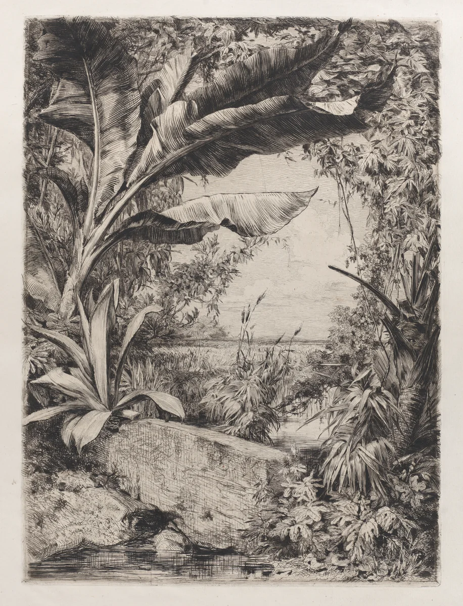 Tropical Plants by Jules Ferdinand Jacquemart, print, 1863