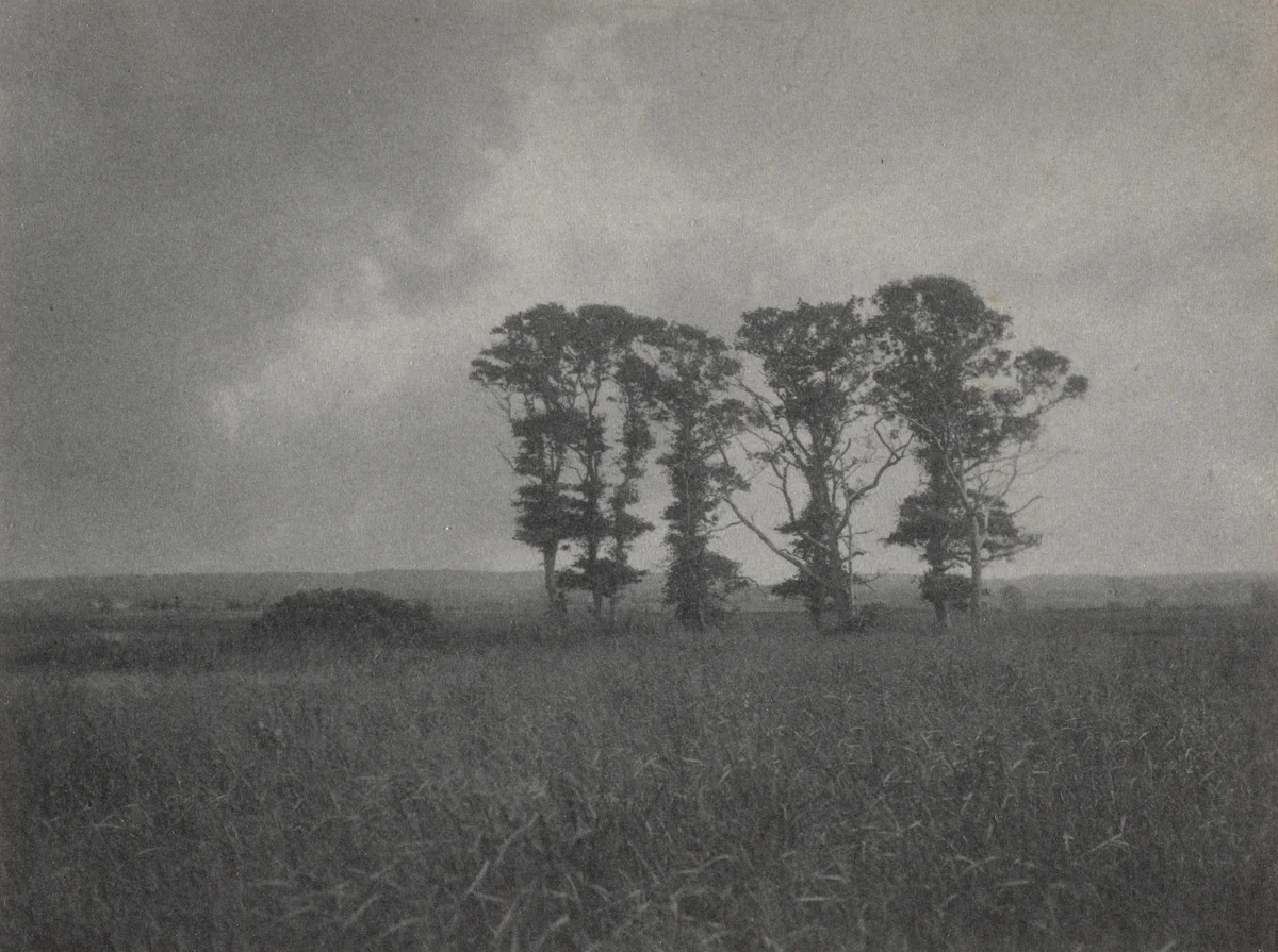Untitled by William J. Mullins, photograph, 1895-1905