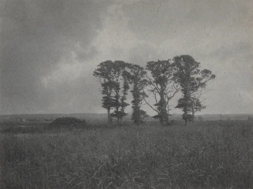 Untitled by William J. Mullins, photograph, 1895-1905