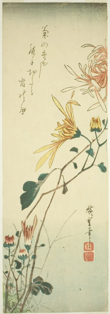 Chrysanthemums by Utagawa Hiroshige (歌川広重), print, 1835-1845