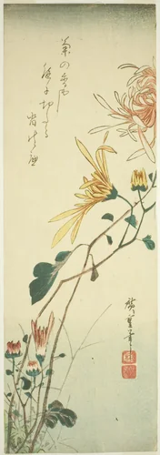 Chrysanthemums by Utagawa Hiroshige (歌川広重), print, 1835-1845