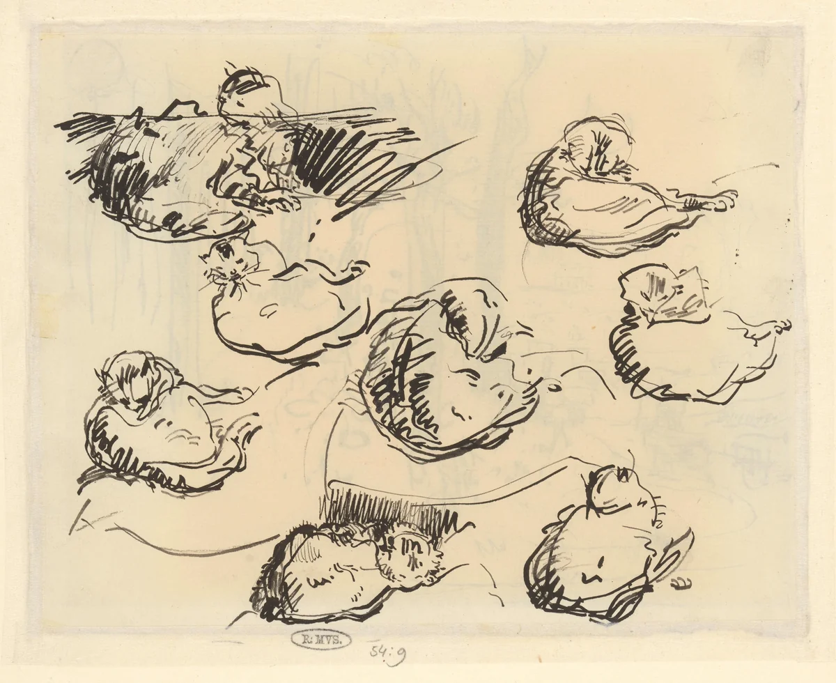 Schetsblad met acht studies van een kat by Rik Wouters, drawing, 1892-1916