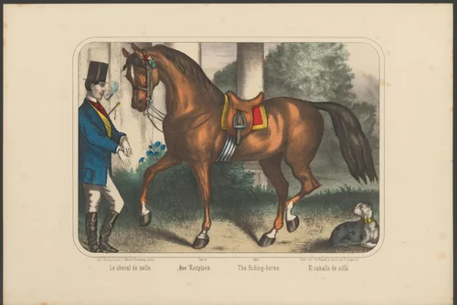 Opgezadeld paard by anonymous, print, 1880-1888