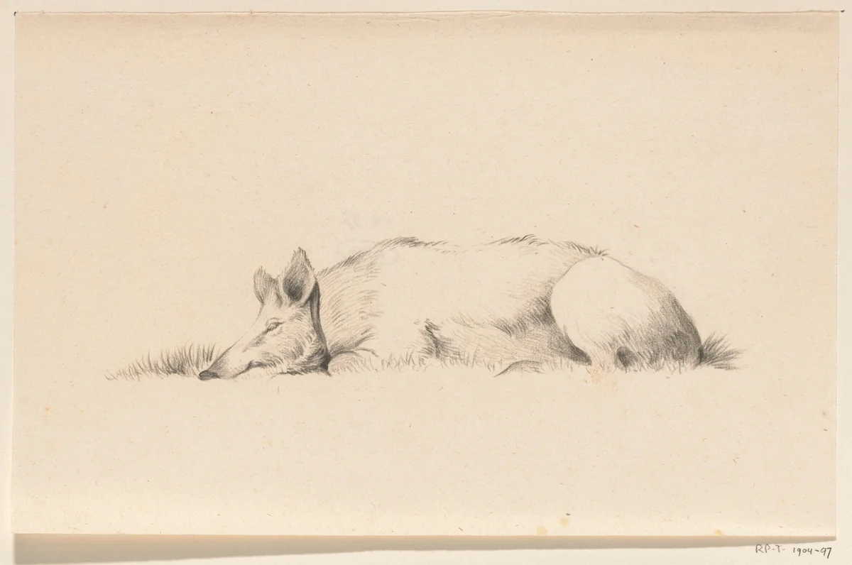 Liggend varken, naar links by Jean Bernard, drawing, 1775-1833