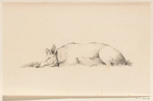 Liggend varken, naar links by Jean Bernard, drawing, 1775-1833