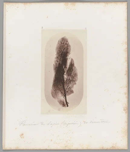 [Untitled] by Auguste-Adolphe Bertsch, photograph, 1853-1857