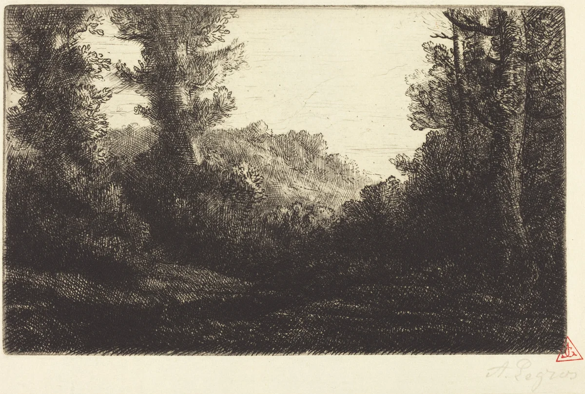 Edge of a Wood (Lisiere de bois) by Alphonse Legros, print, 1837-1911