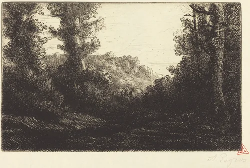 Edge of a Wood (Lisiere de bois) by Alphonse Legros, print, 1837-1911