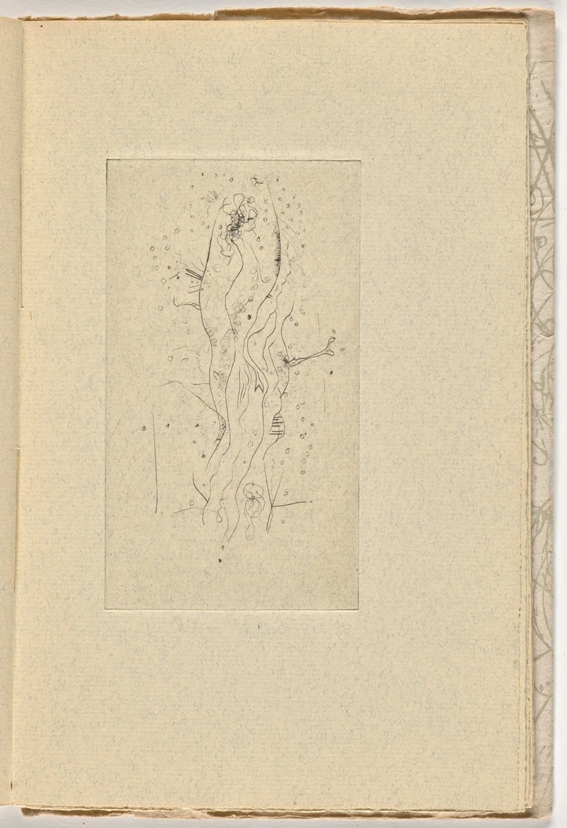 Plate (page 19) from Le Berger d'Écosse, Les Passagers, La Pierre philosophale (The Scottish Sheperd, The Passangers, The Philosopher's Stone) by Wols, illustrated book, 1948