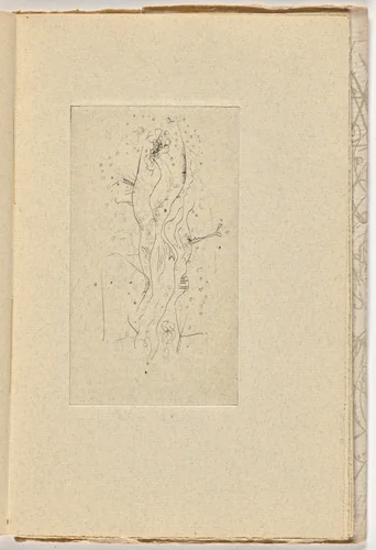 Plate (page 19) from Le Berger d'Écosse, Les Passagers, La Pierre philosophale (The Scottish Sheperd, The Passangers, The Philosopher's Stone) by Wols, illustrated book, 1948