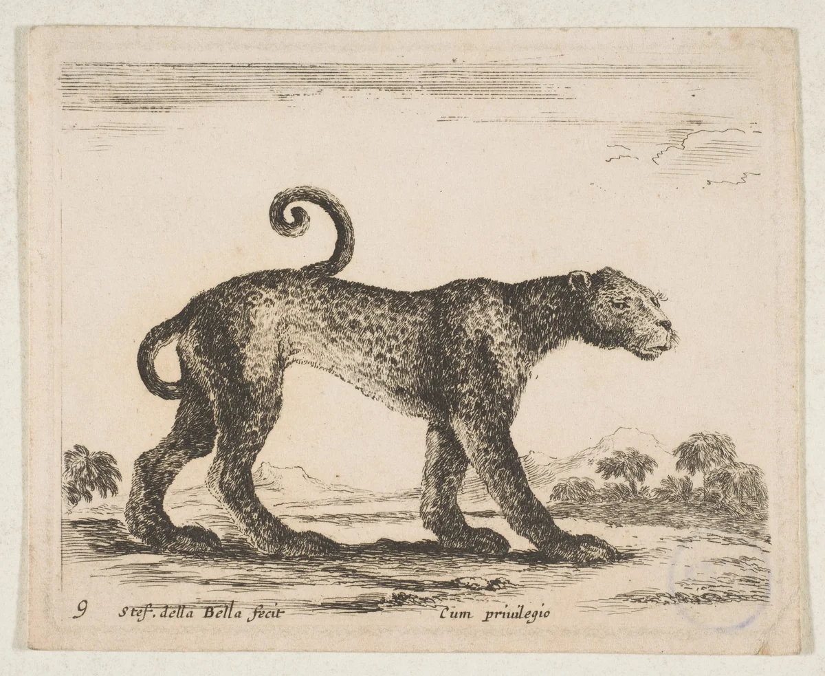 Plate 9: Leopard, from "Various animals" (Diversi animali) by Stefano della Bella, print, 1636-1646