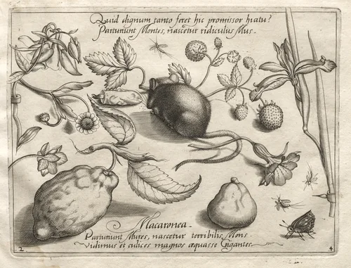 Archetypes and Studies: What can emerge in keeping with such a cavernous promise? (Part IV, plate 2) by Joris Hoefnagel, print, 1592