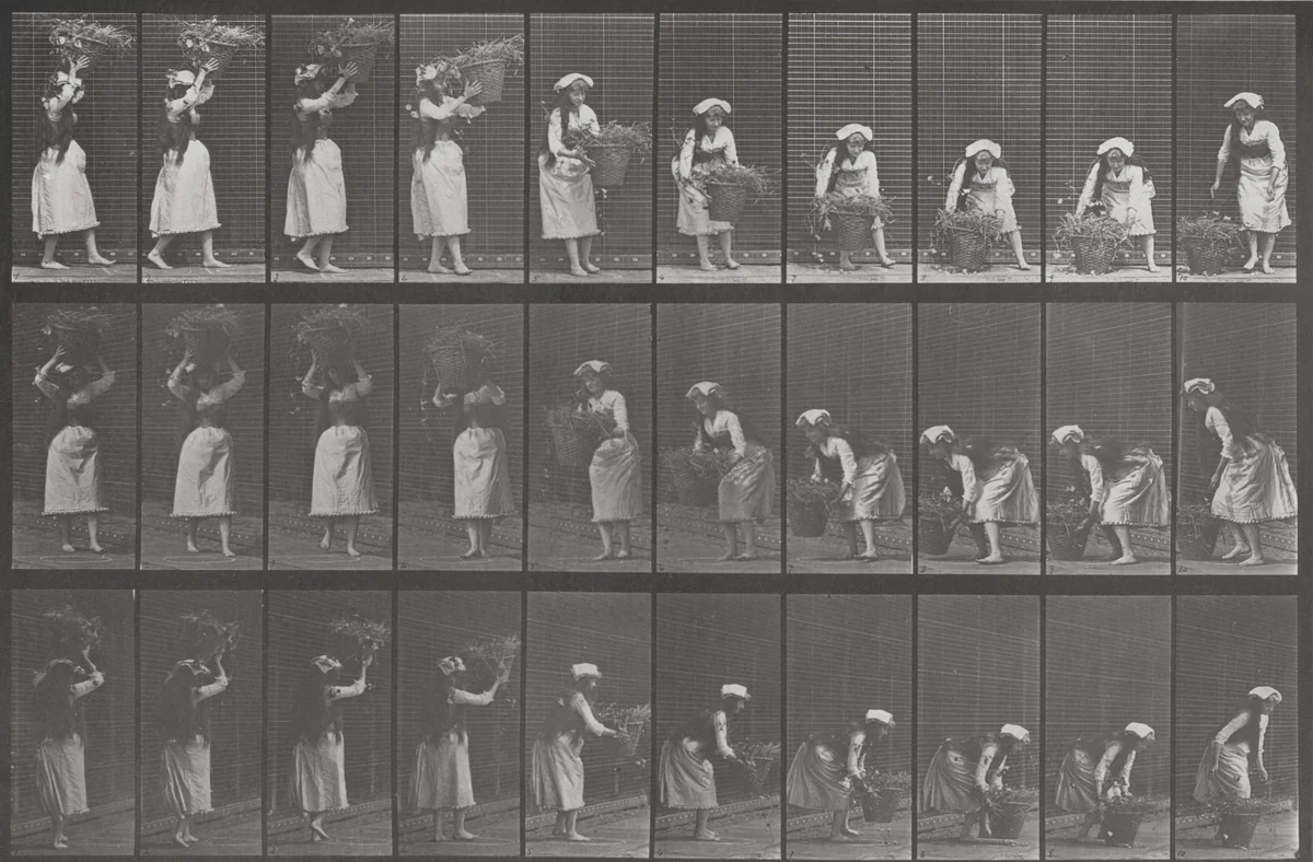Plate Number 454. Taking a 12-lb. basket from head and placing it on the ground by Eadweard Muybridge, photograph, 1887