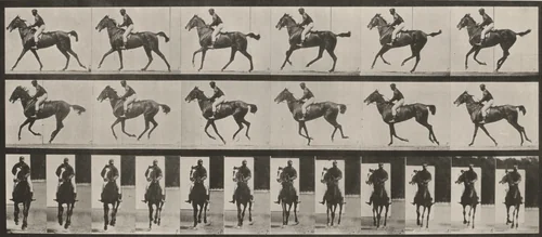 Plate Number 621. "Annie G." cantering, saddled by Eadweard Muybridge, photograph, 1887