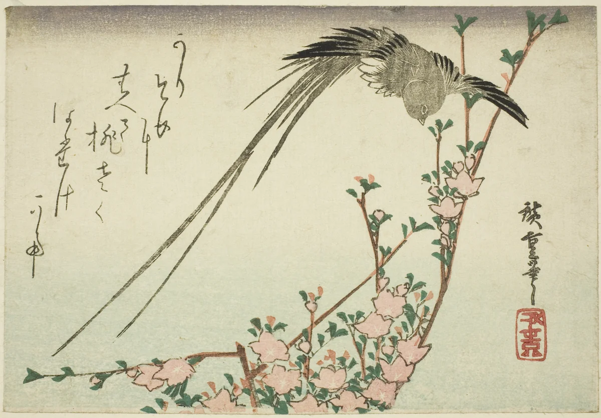 Long-tailed bird and peach blossoms by Utagawa Hiroshige (歌川広重), print, 1830-1839