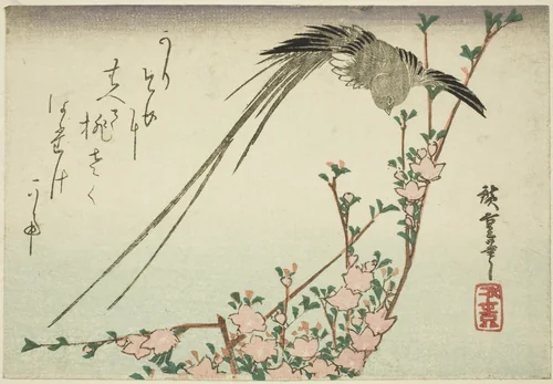 Long-tailed bird and peach blossoms by Utagawa Hiroshige (歌川広重), print, 1830-1839