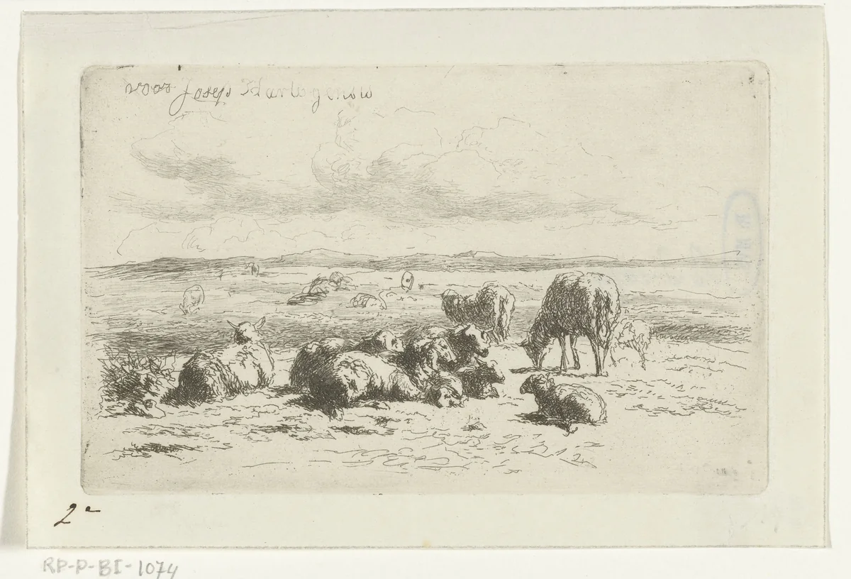 Duinlandschap met schapen by Simon van den Berg, print, 1822-1899
