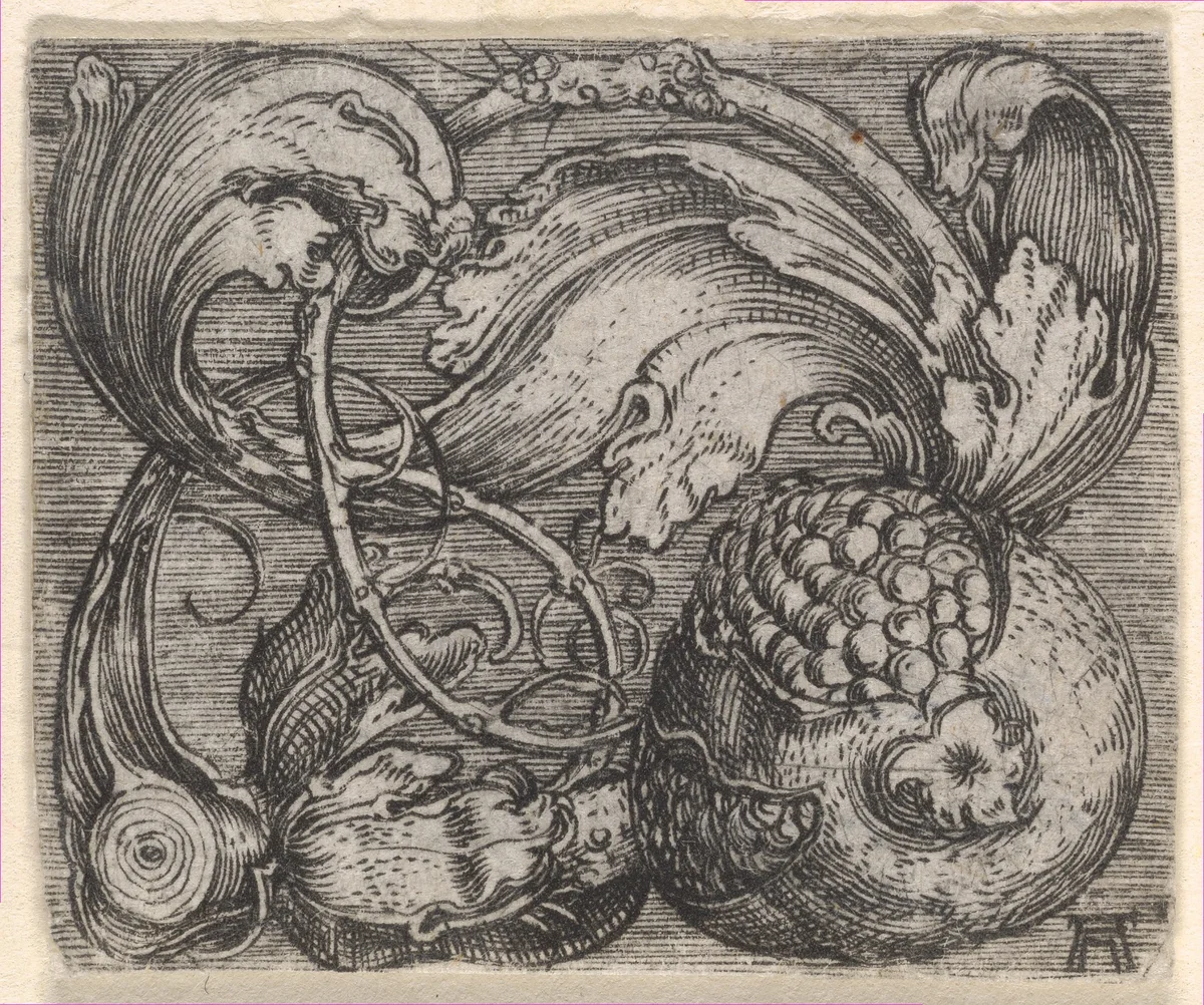Pomegranate with Tendril by Albrecht Altdorfer, print, 1500-1538
