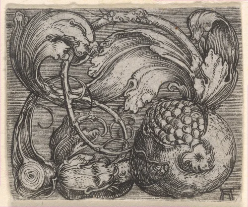 Pomegranate with Tendril by Albrecht Altdorfer, print, 1500-1538