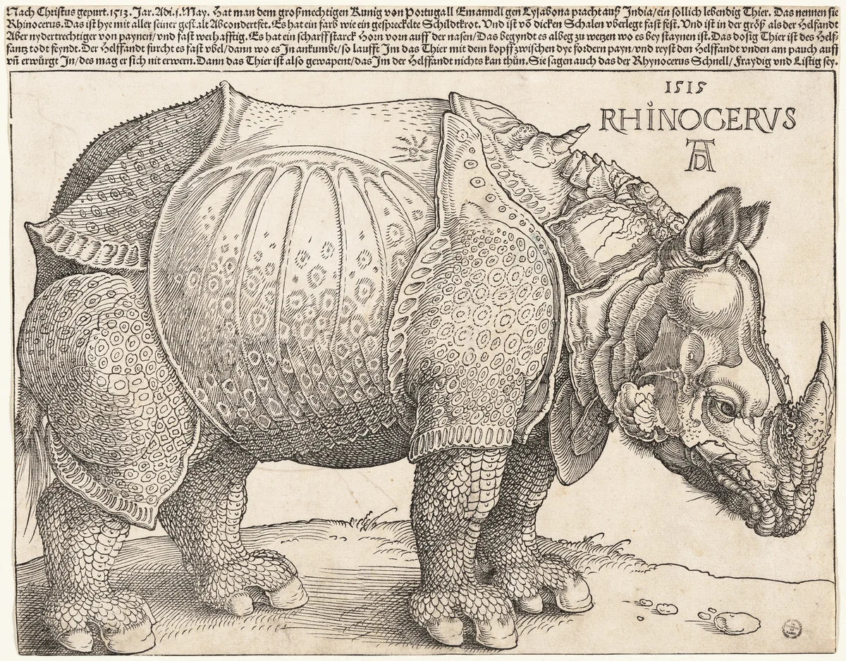 The Rhinoceros by Albrecht Dürer, print, 1515