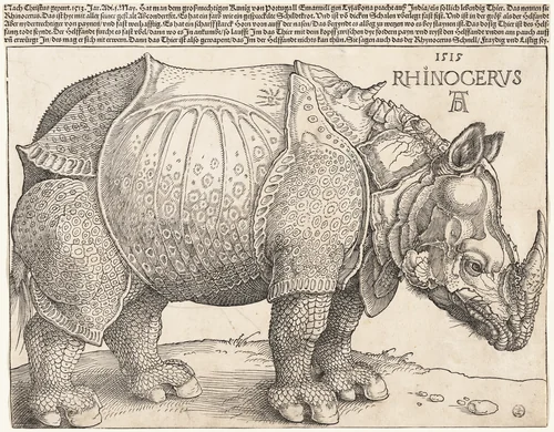 The Rhinoceros by Albrecht Dürer, print, 1515