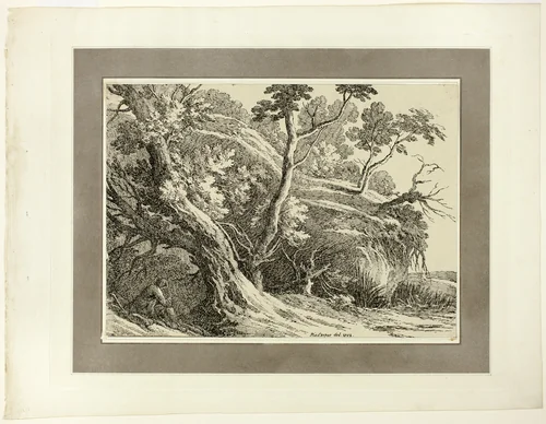 Landscape with Large Trees, from the first issue of Specimens of Polyautography by Richard Cooper II, print, 1803