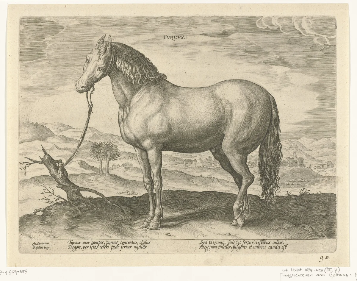 Paard uit Turkije by Unknown, print, 1578-1582