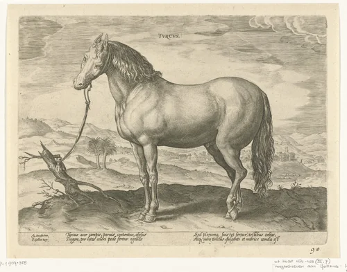 Paard uit Turkije by Unknown, print, 1578-1582