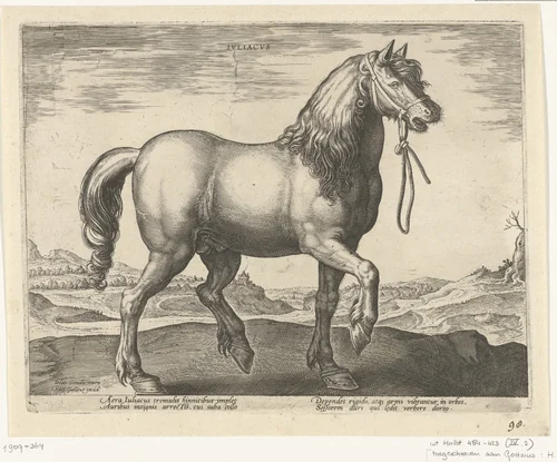 Paard uit Gulik (Juliacus) by Unknown, print, 1578-1582