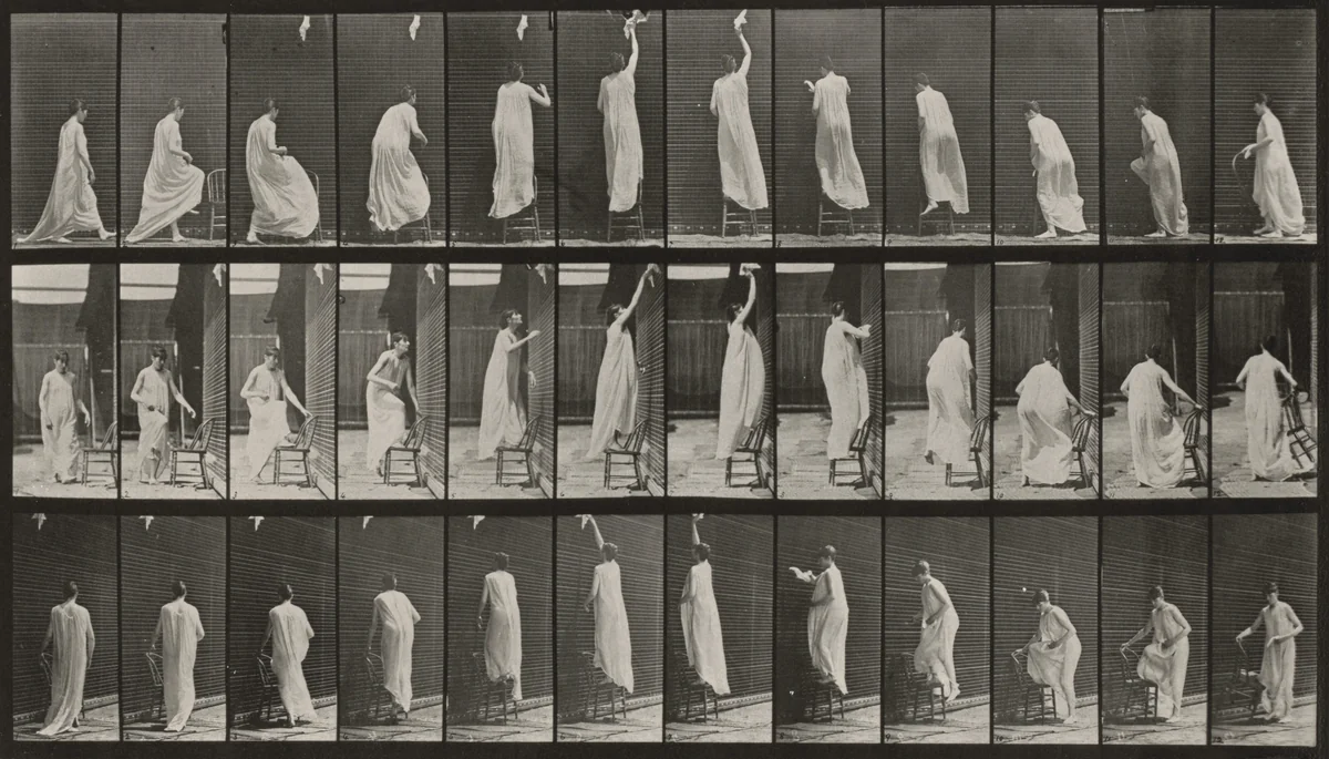 Plate Number 459. Stepping on chair, reaching up and descending by Eadweard Muybridge, photograph, 1887