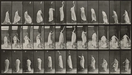 Plate Number 459. Stepping on chair, reaching up and descending by Eadweard Muybridge, photograph, 1887