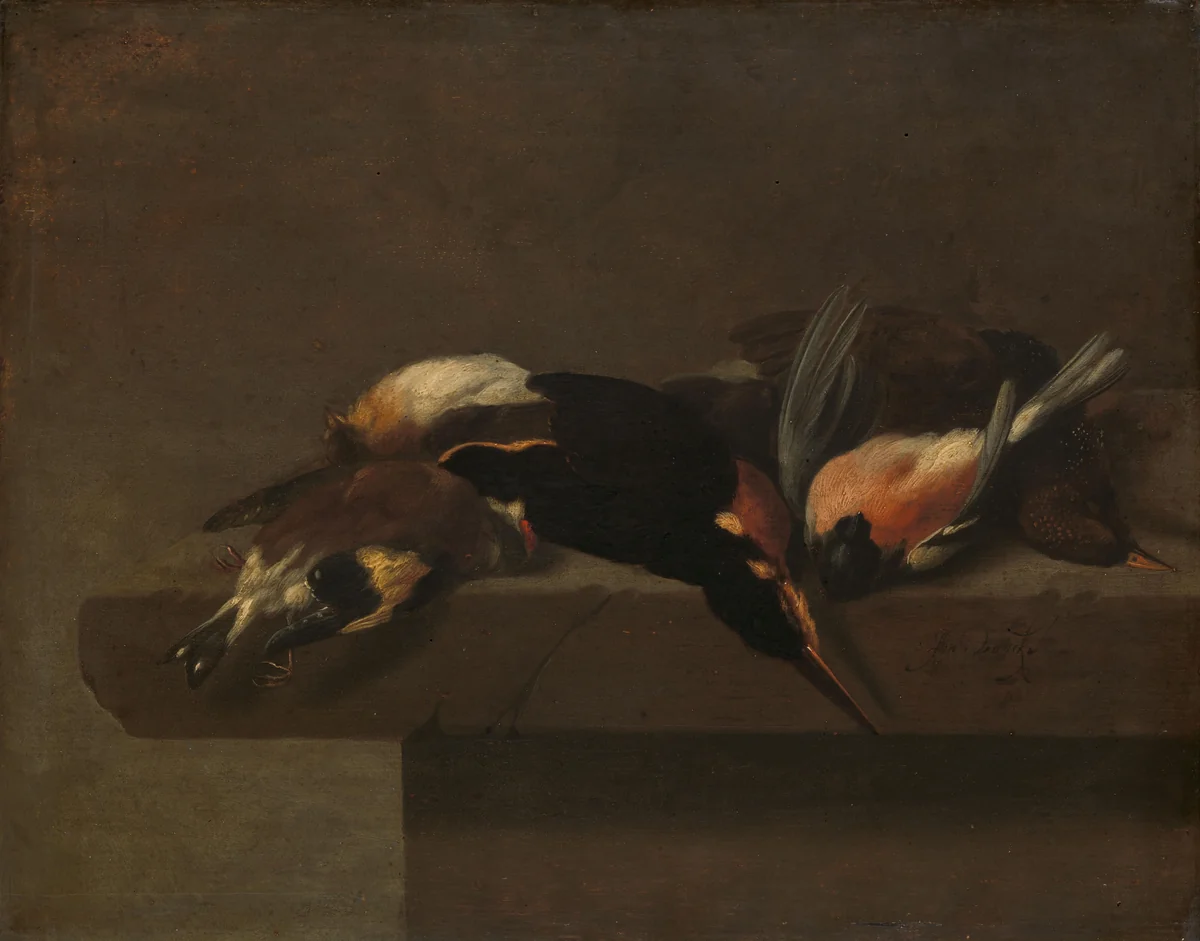 Dead Birds by Jan Vonck, painting, 1640-1662