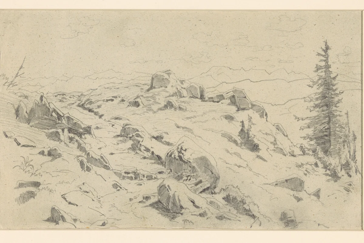 Rotsblokken en dennen in het hooggebergte by Ludwig Gustav Voltz, drawing, 1835-1911