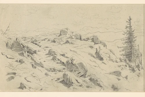 Rotsblokken en dennen in het hooggebergte by Ludwig Gustav Voltz, drawing, 1835-1911