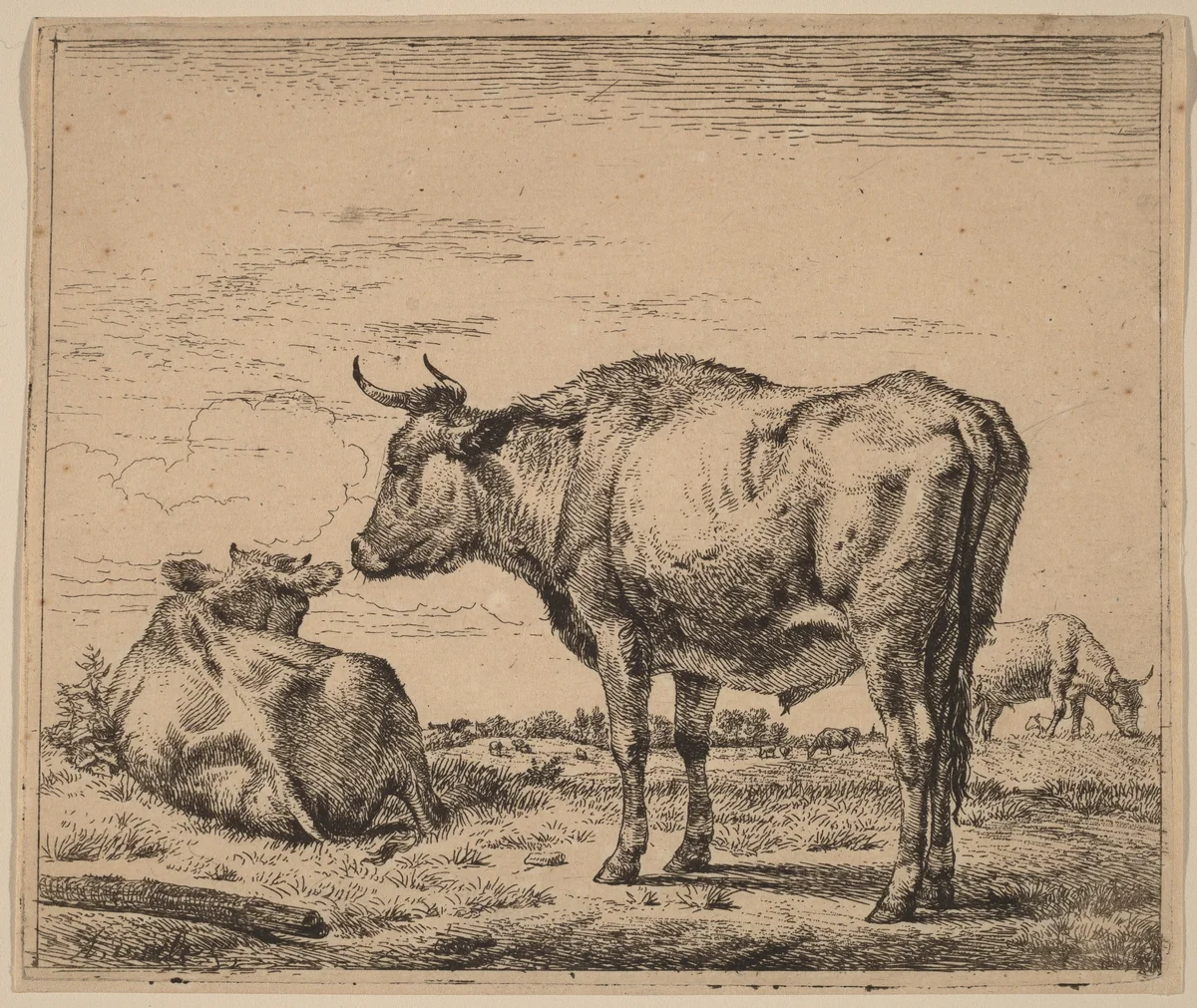 Standing Bull by Adriaen van de Velde, print, 1657-1659