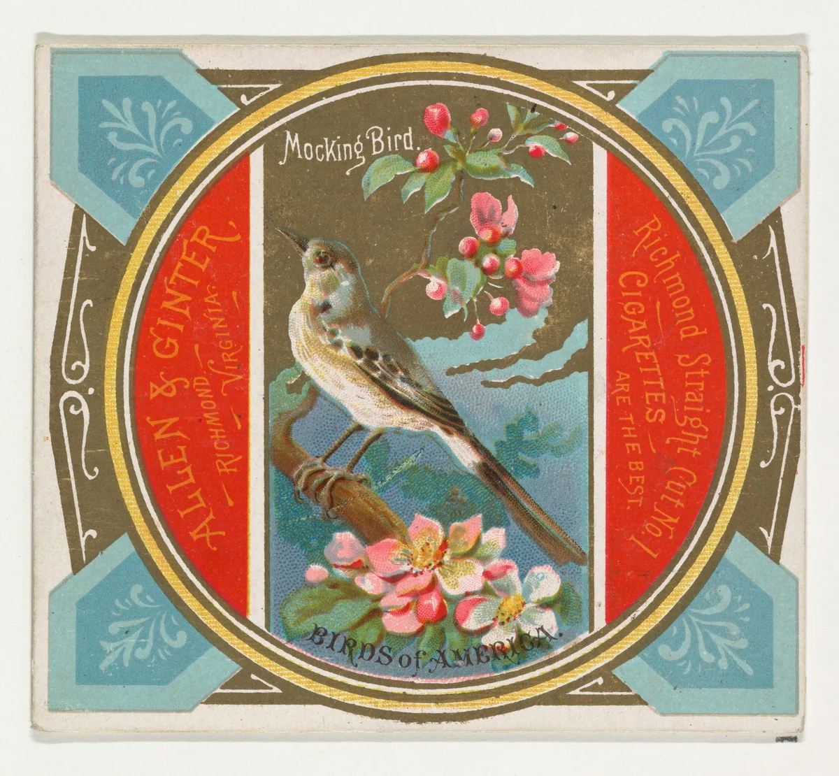 Mockingbird, from the Birds of America series (N37) for Allen & Ginter Cigarettes by Allen & Ginter, print, 1888