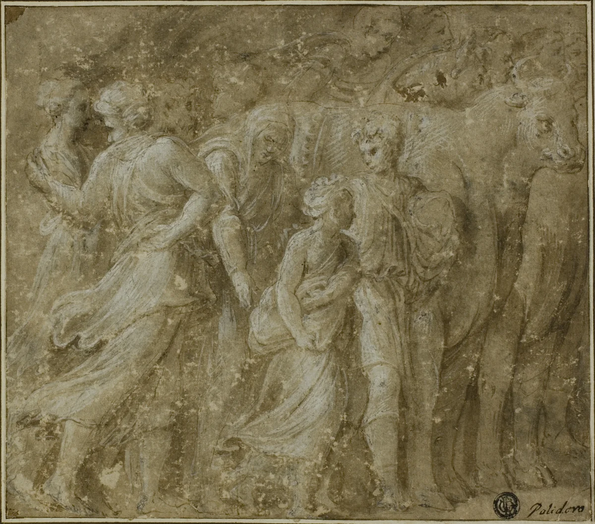 Procession of Figures and Oxen by Biagio Pupini, drawing, 1511-1551