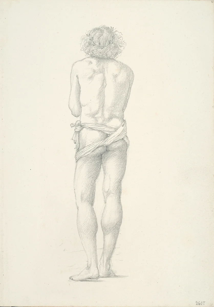 Back View of Standing Male Nude by Edward Burne-Jones, drawing, 1863-1877