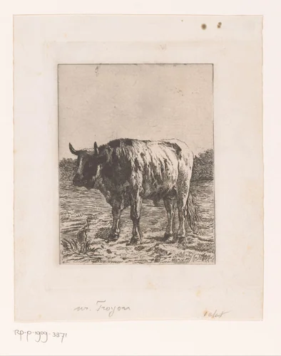 Stier in de wei by Auguste Danse, print, 1874