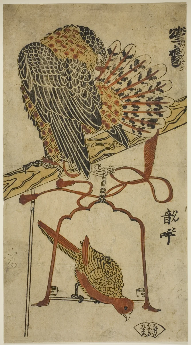 Sparrowhawk and Macaw (Konori taka, inko) by Torii Kiyomasu I, print, 1713-1723