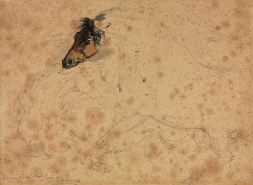 Study of Horses by Edwin Henry Landseer, drawing, 1854