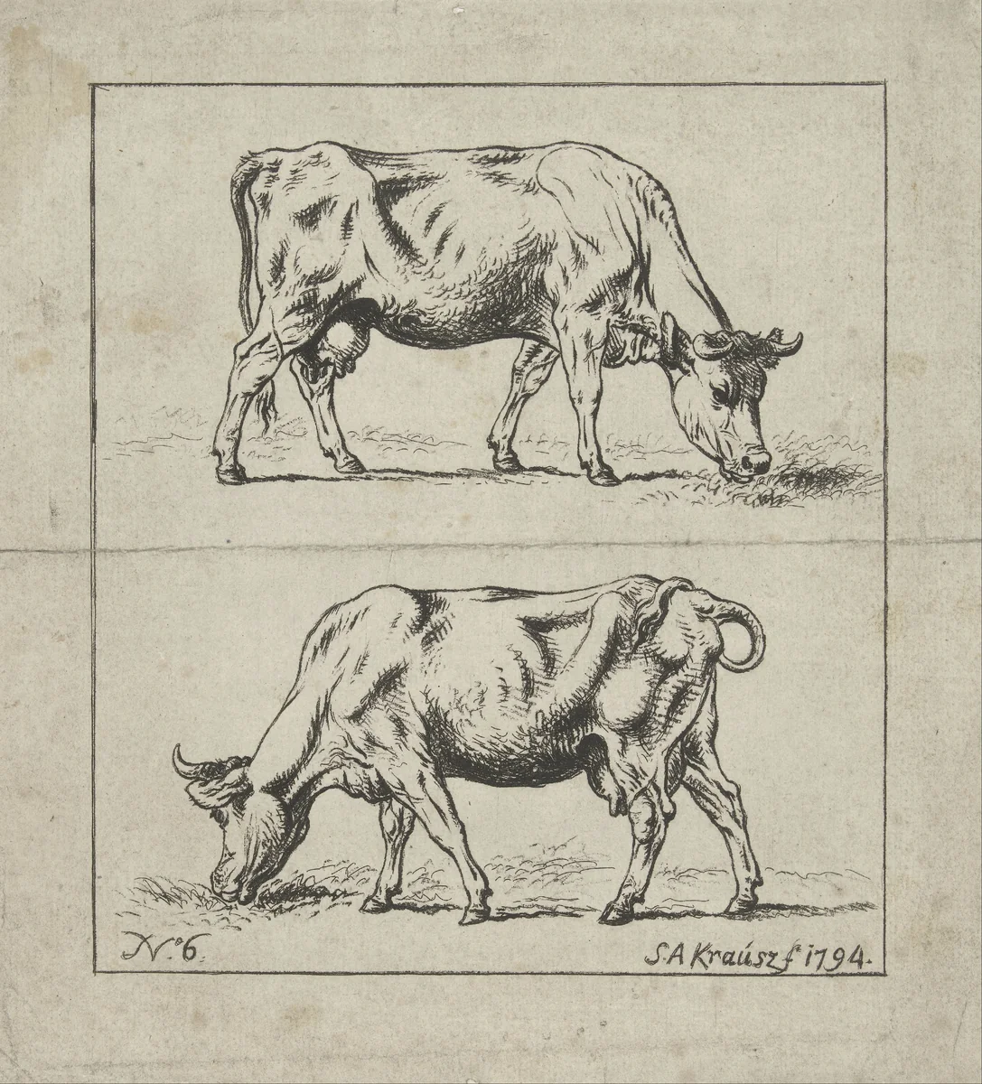 Studie van een koe by Simon Andreas Krausz, print, 1794