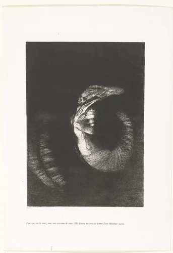 Het is een doodshoofd met een krans van rozen by Odilon Redon, print, 1888