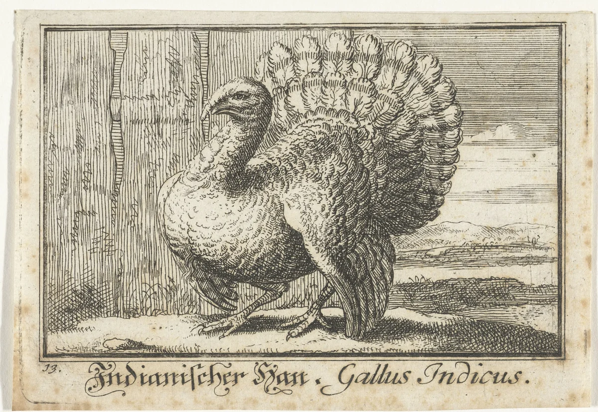 Landschap met kalkoen by anonymous, print, 1659-1741